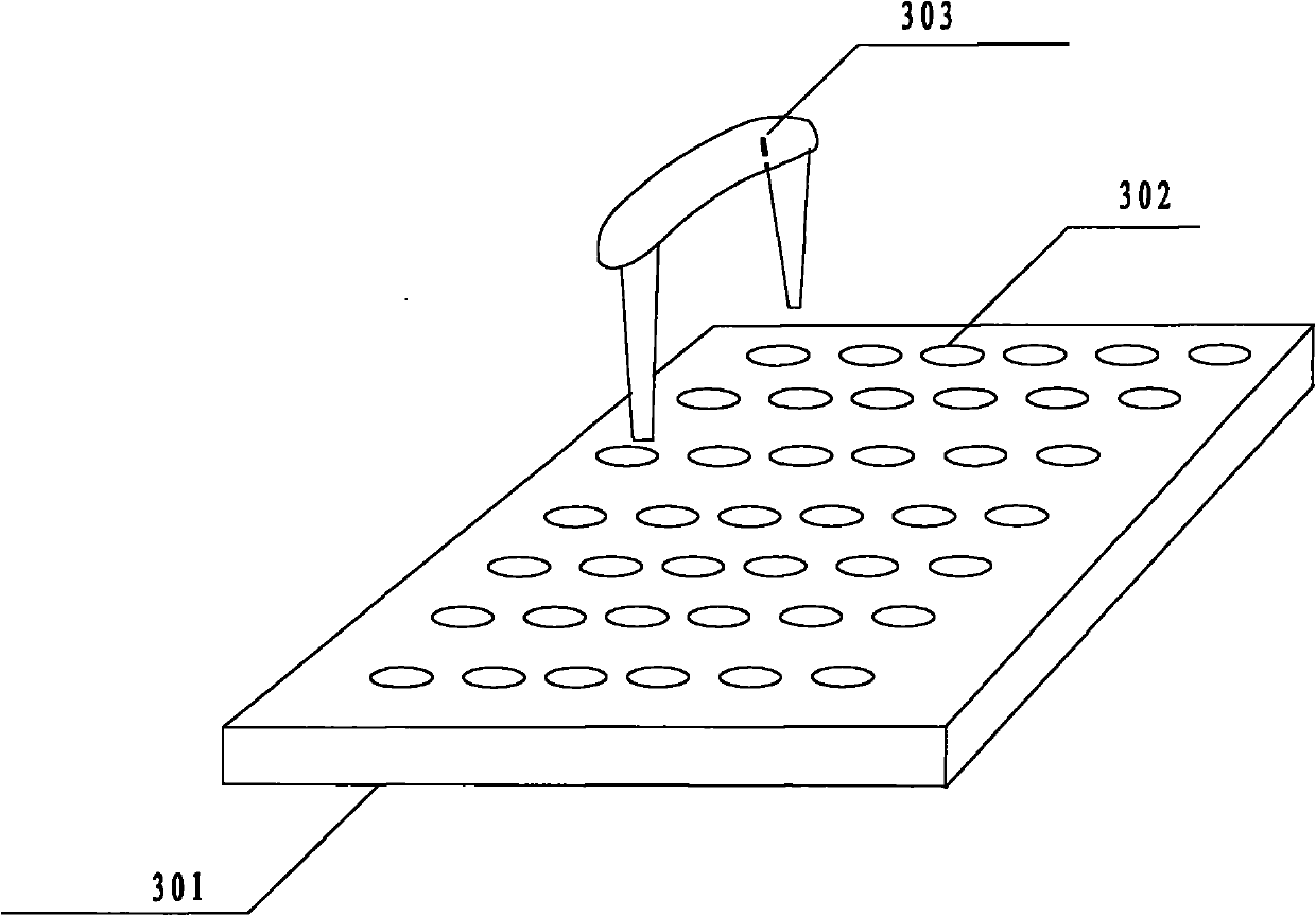 Method for manufacturing ornamental article and ornamental article