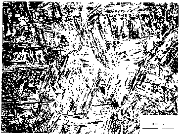 Original crystalline grain displaying agent of high-alloy and low-carbon martensite steel and displaying method