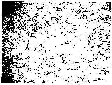 Original crystalline grain displaying agent of high-alloy and low-carbon martensite steel and displaying method