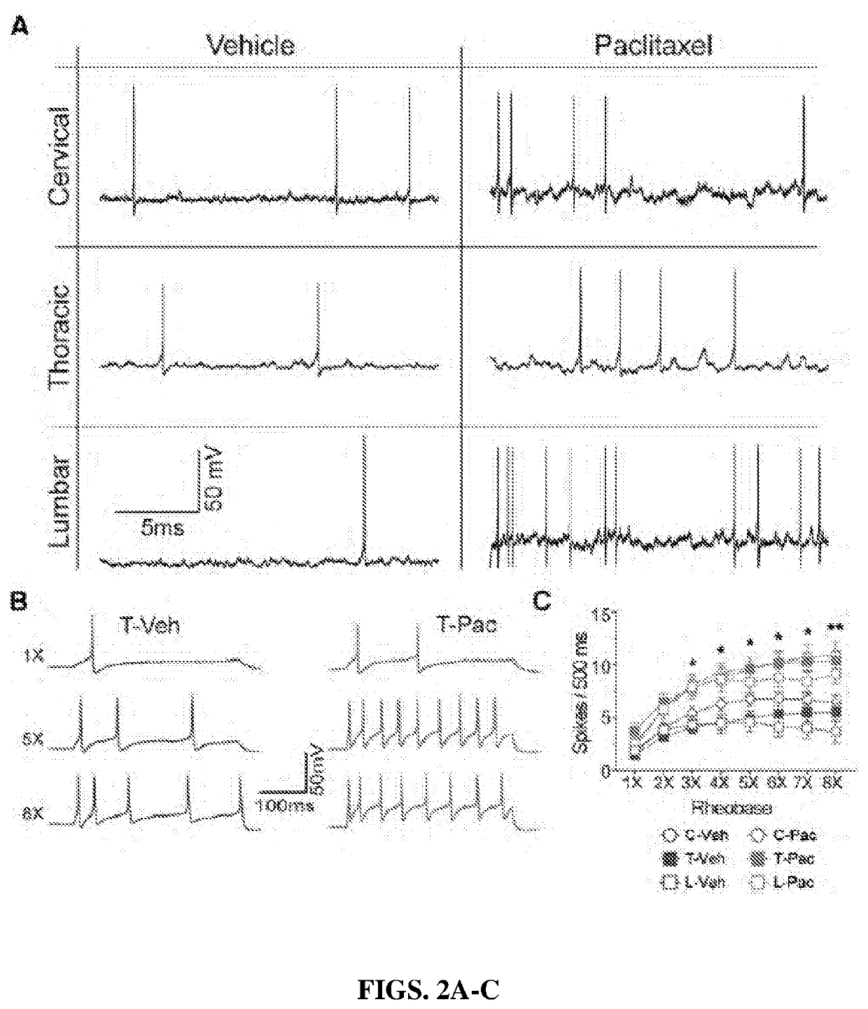 Inhibitor of mnk for the treatment of neuropathic pain