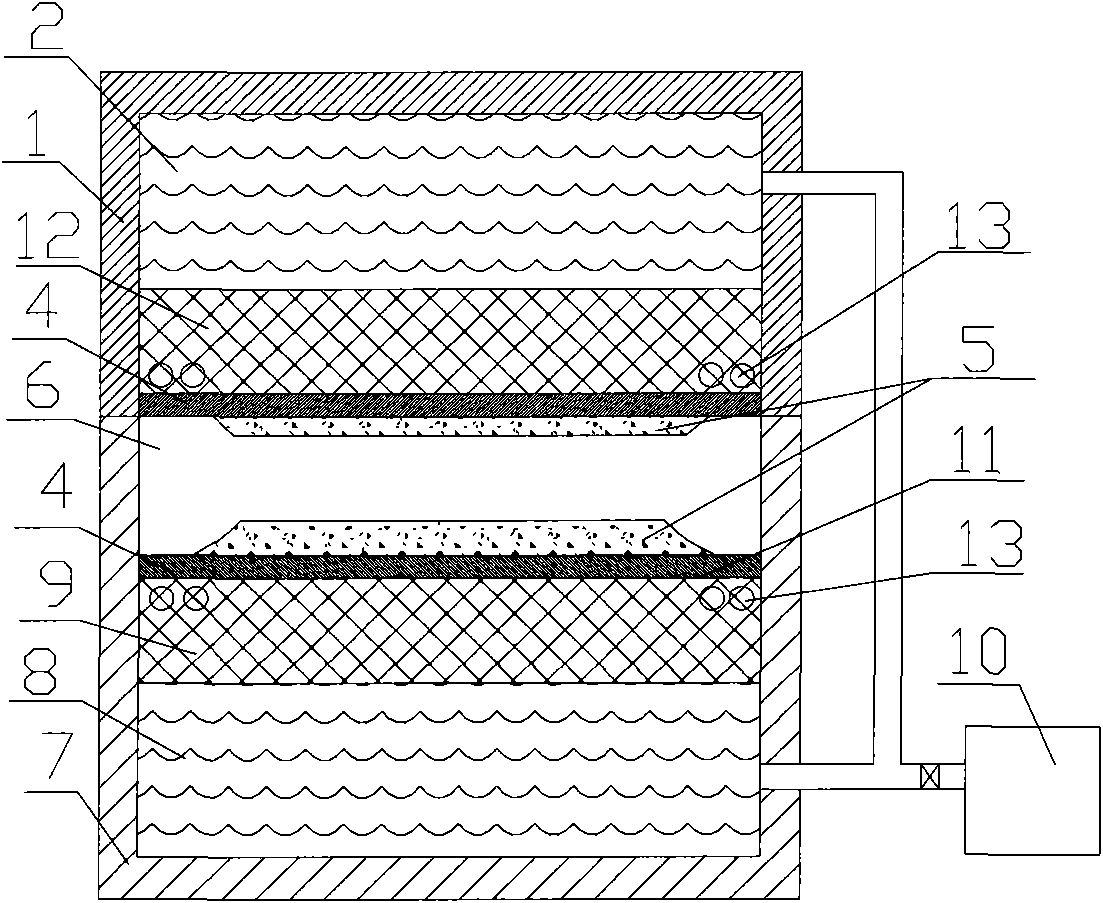 Two-sided diaphragm filter plate heating and compression molding device and molding method thereof