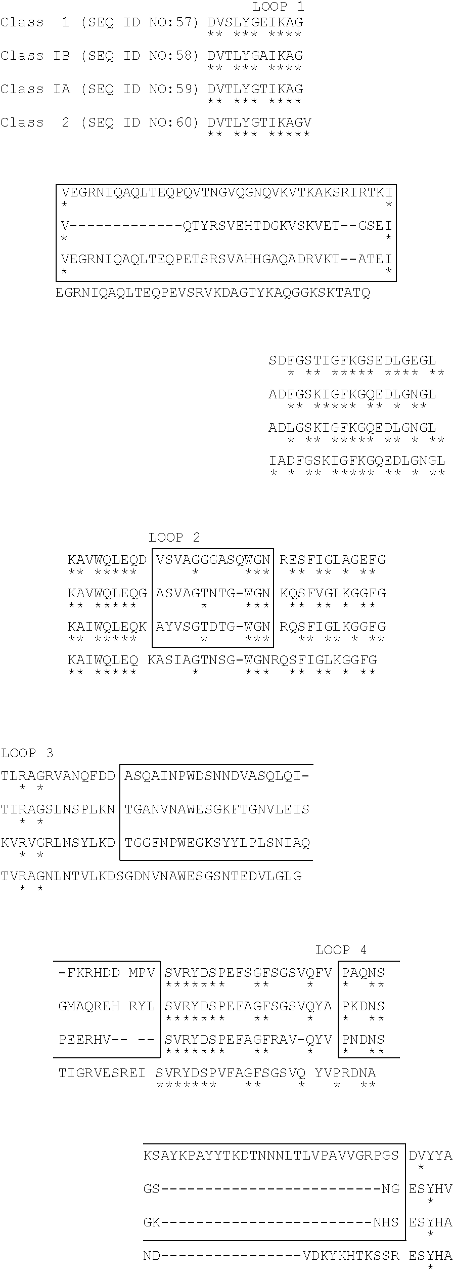 Meningococcal class 1 outer-membrane protein vaccine