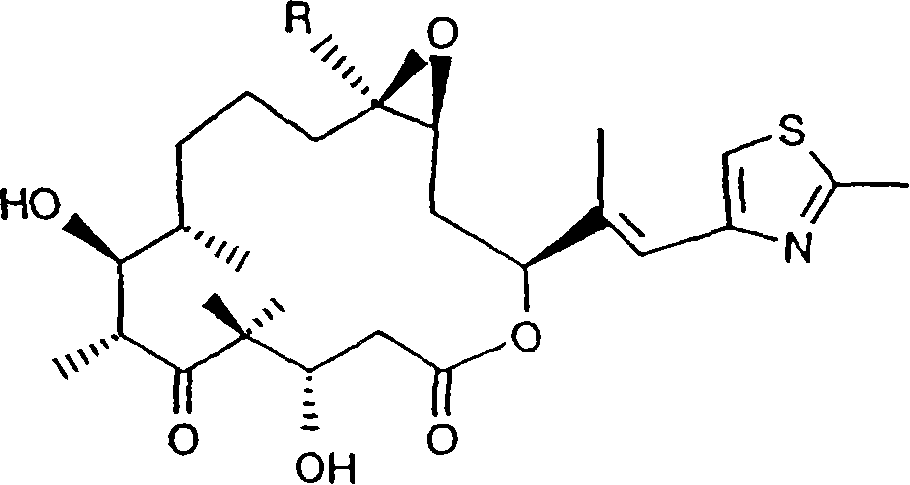 Genes for the biosynthesis of epothilones