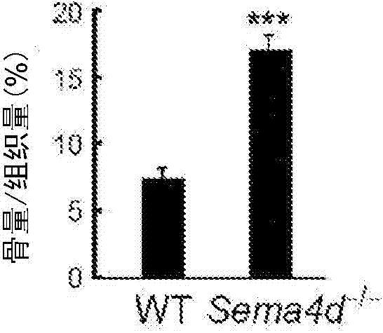 Osteogenesis promoter