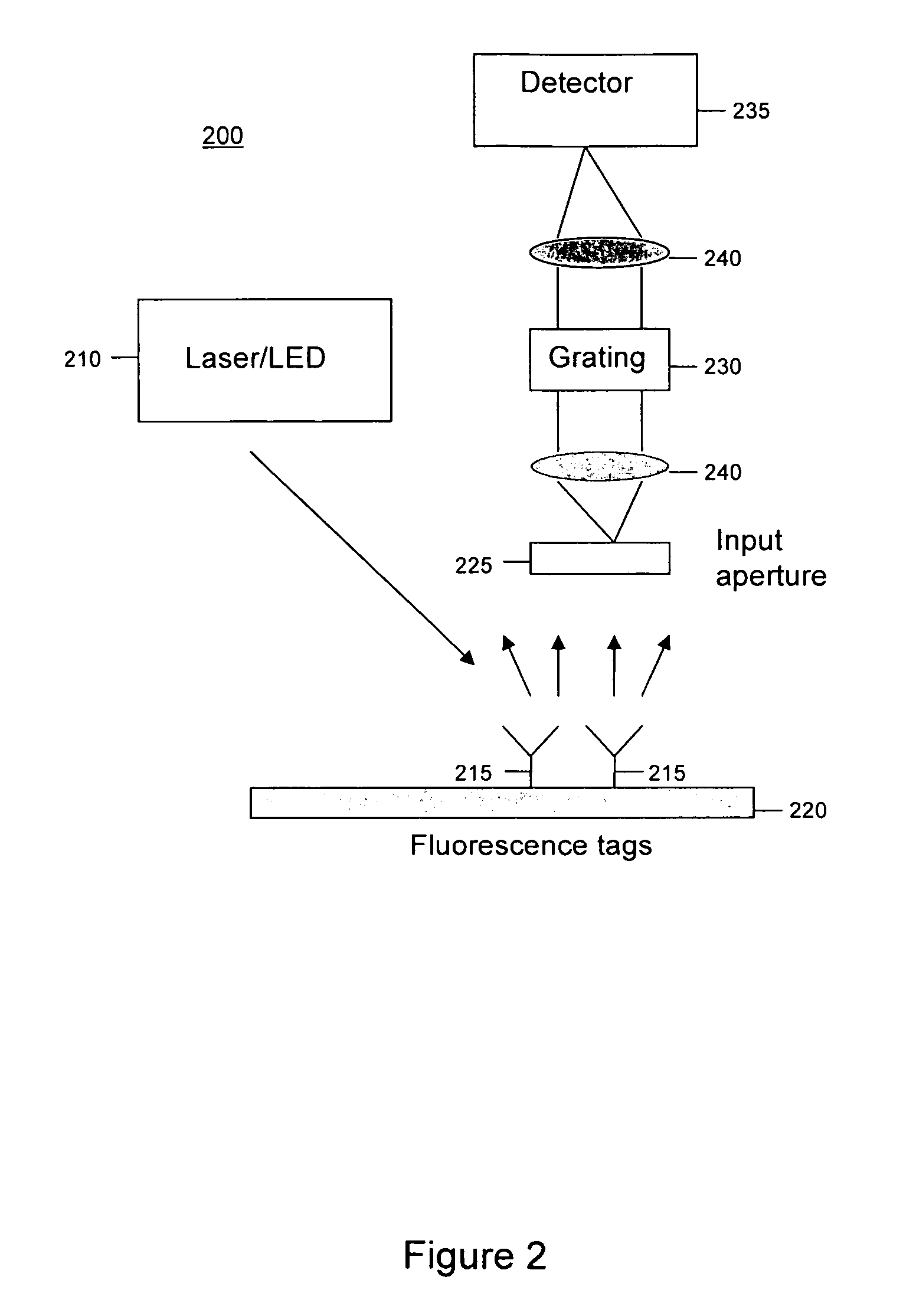 Spatially patterned substrates for chemical and biological sensing