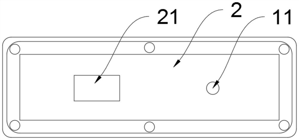 Saliva collection and detection device