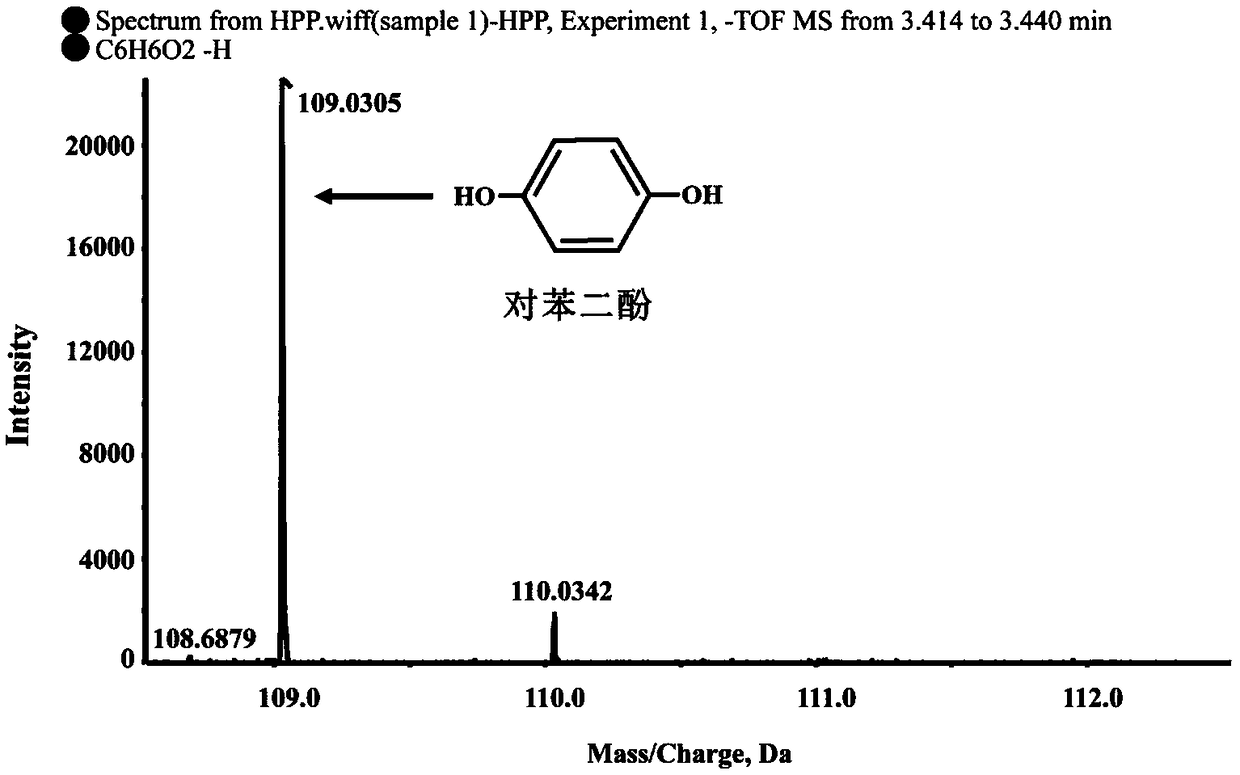 Dioxygenase Snpd with chiral selectivity to intermediate of aromatic oxyphenoxypropionic acid herbicide, and encoding gene and application thereof