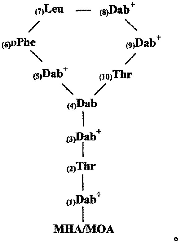 Polymixin derivative and application thereof