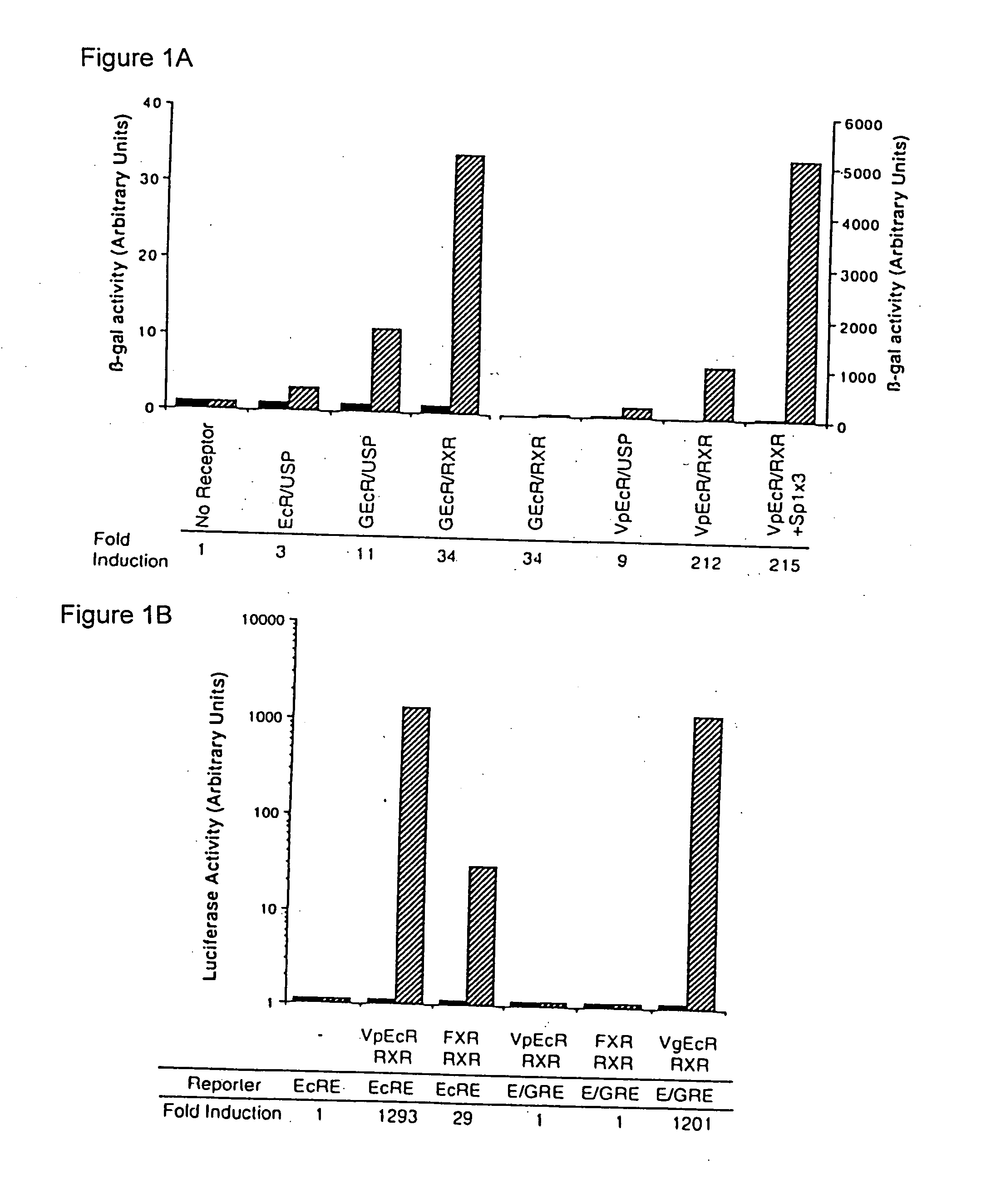 Methods for modulating expression of exogenous genes in mammalian systems, and products related thereto