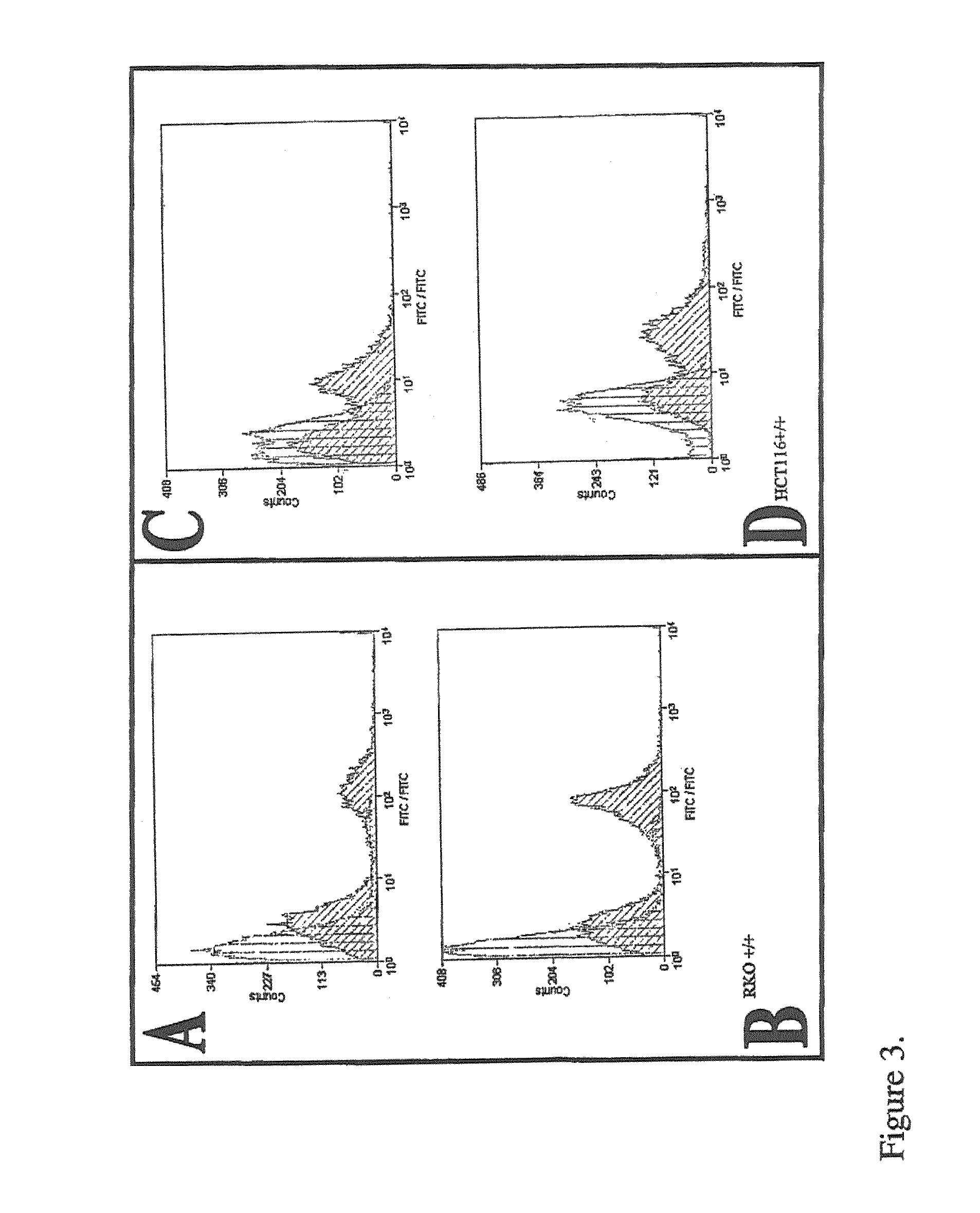 Therapy targeting cathepsin S