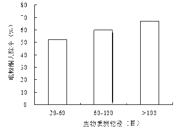 Beer lees biomass charcoal with effect of removing pesticide pymetrozine, as well as preparation method and application thereof