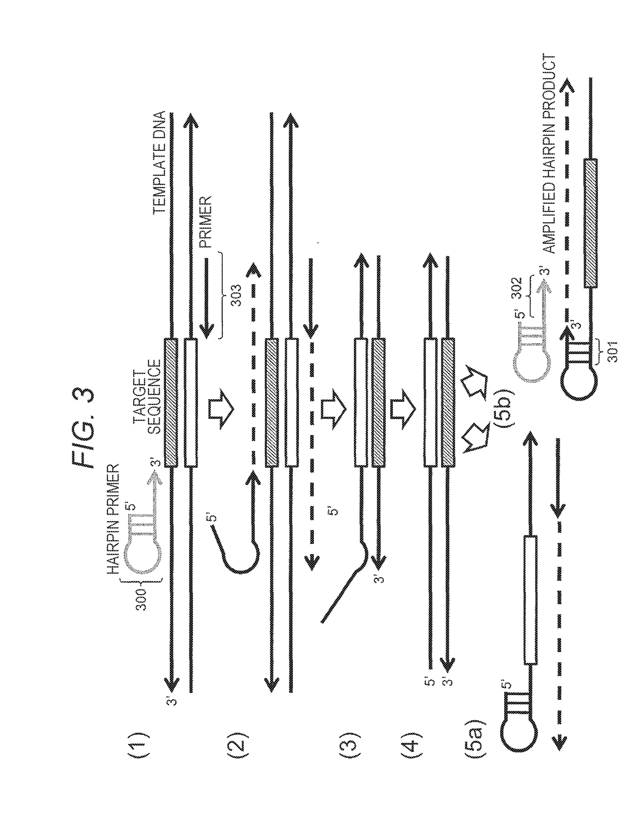 Method for Constructing Nucleic Acid Molecule