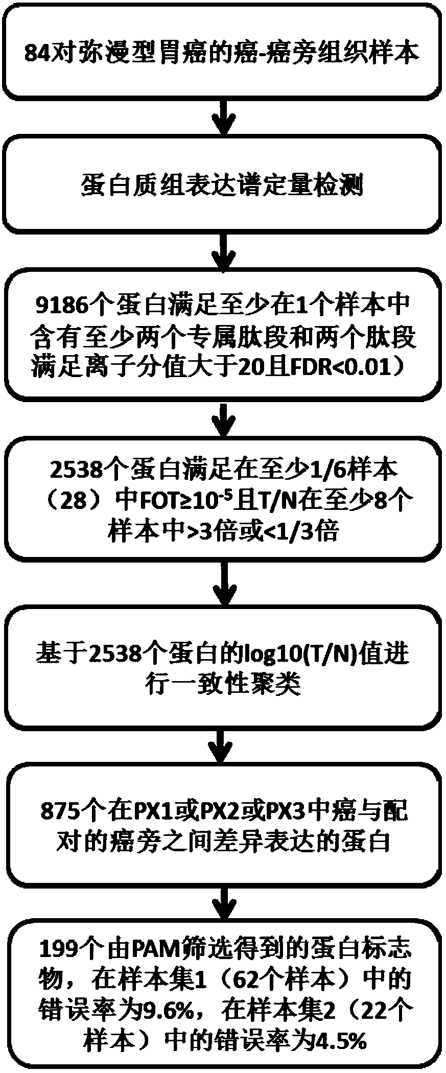 Molecular typing of diffuse gastric cancer and protein markers for typing and screening method and application thereof