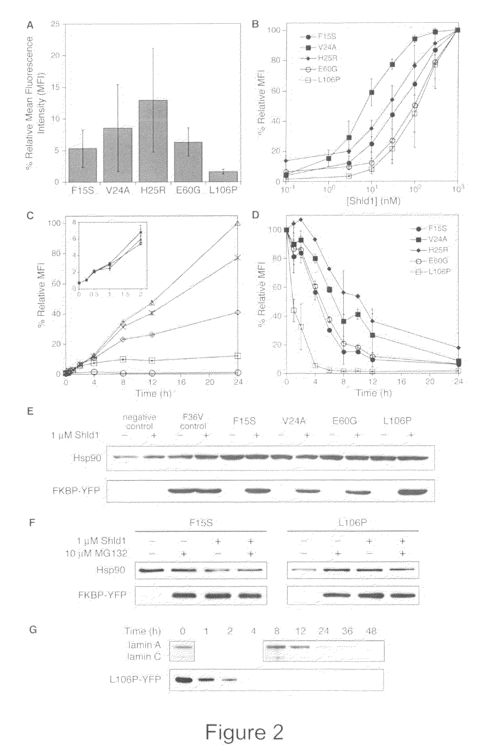 Method for regulating protein function in cells using synthetic small molecules