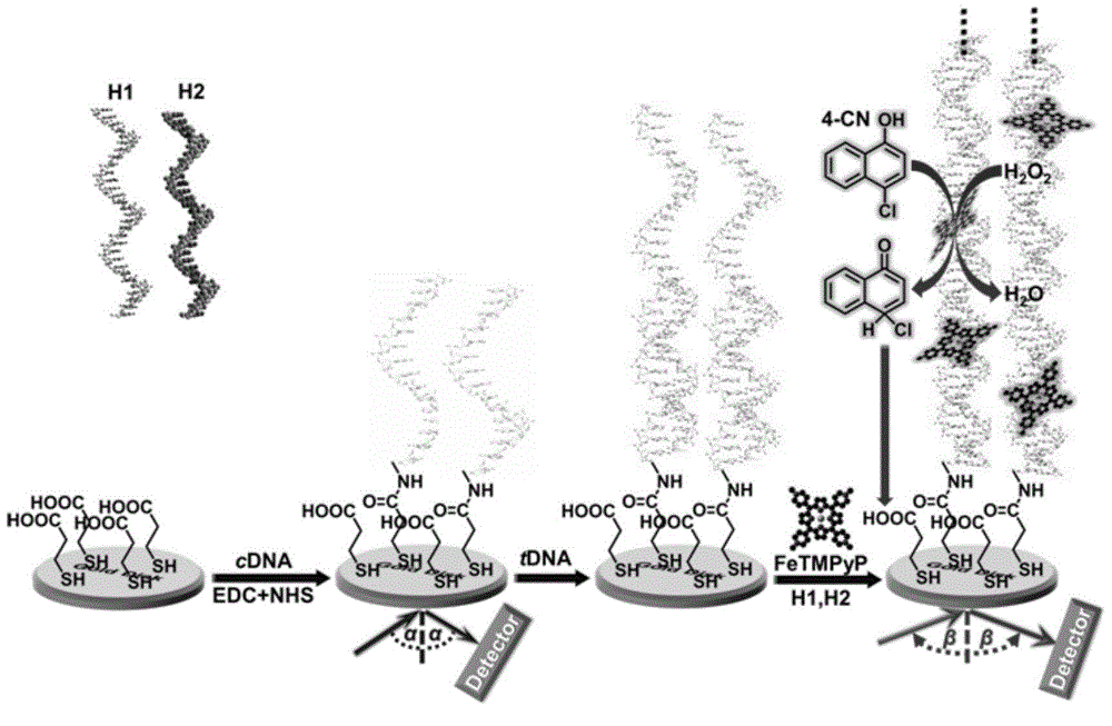 Nucleic acid detection method based on surface plasmon resonance technology