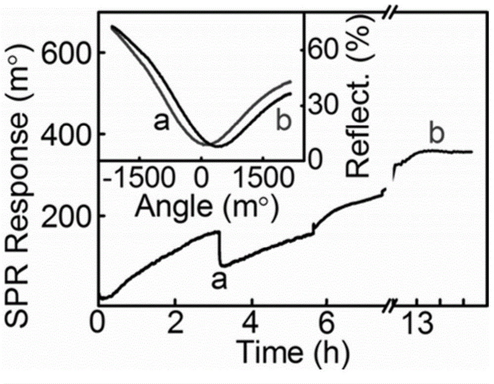 Nucleic acid detection method based on surface plasmon resonance technology