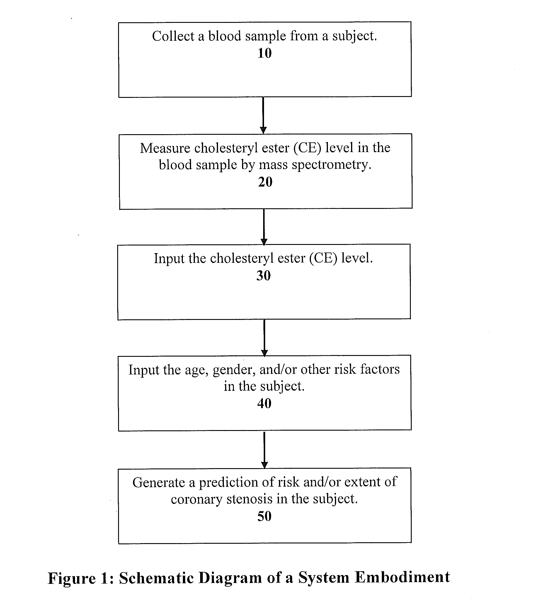 Systems and apparatus for indicating risk of coronary stenosis