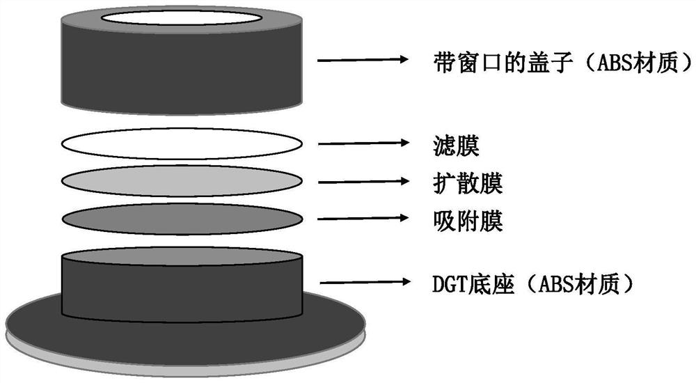 DGT adsorption film as well as preparation method and application thereof