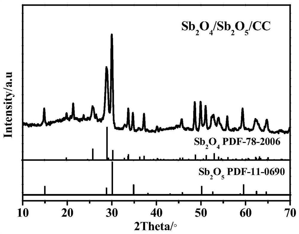 Carbon cloth loaded flower-shaped Sb2O4@polyhedral Sb2O5 composite self-supporting electrode material and preparation method thereof