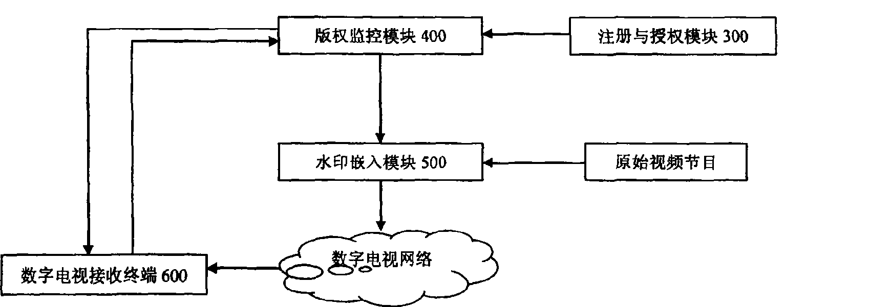 Video copyright protecting and monitoring system in digital television