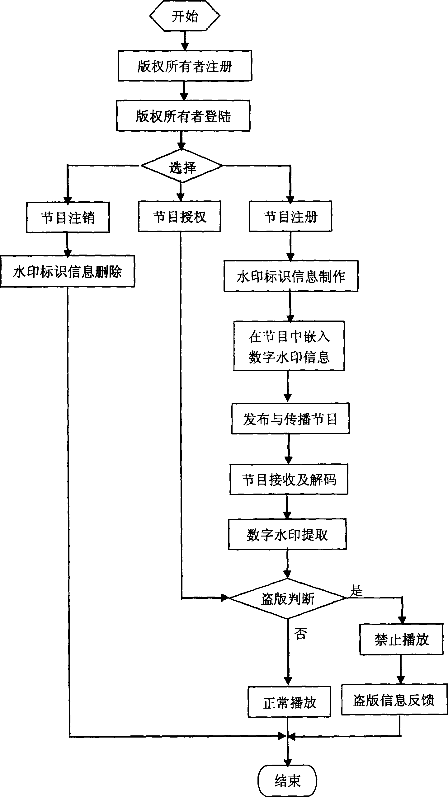 Video copyright protecting and monitoring system in digital television