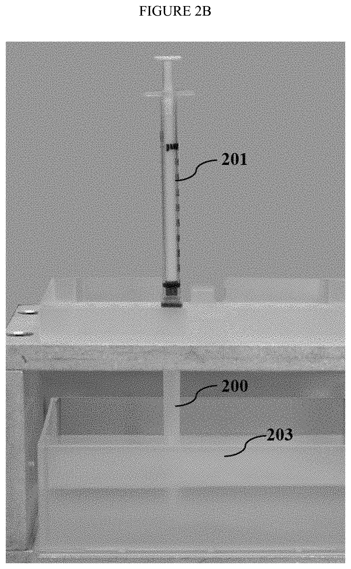 Automated group separations of complex mixtures with gel filtration pipette tips