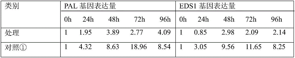 Method for inhibiting infection rice SA path relevant gene up-regulation