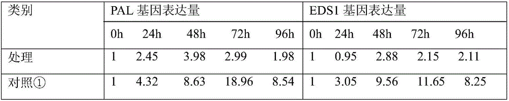 Method for inhibiting infection rice SA path relevant gene up-regulation