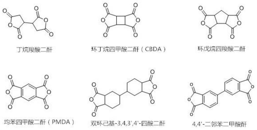 Gelatinized immunomagnetic bead as well as preparation method and application thereof