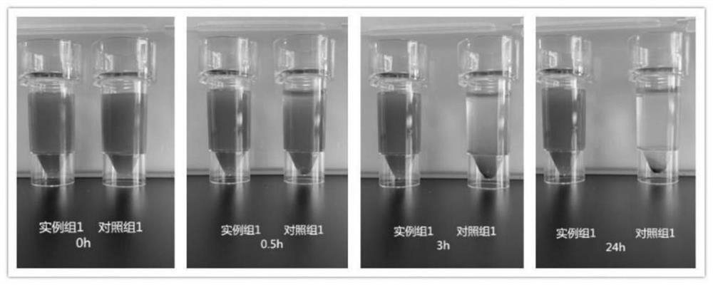 Gelatinized immunomagnetic bead as well as preparation method and application thereof