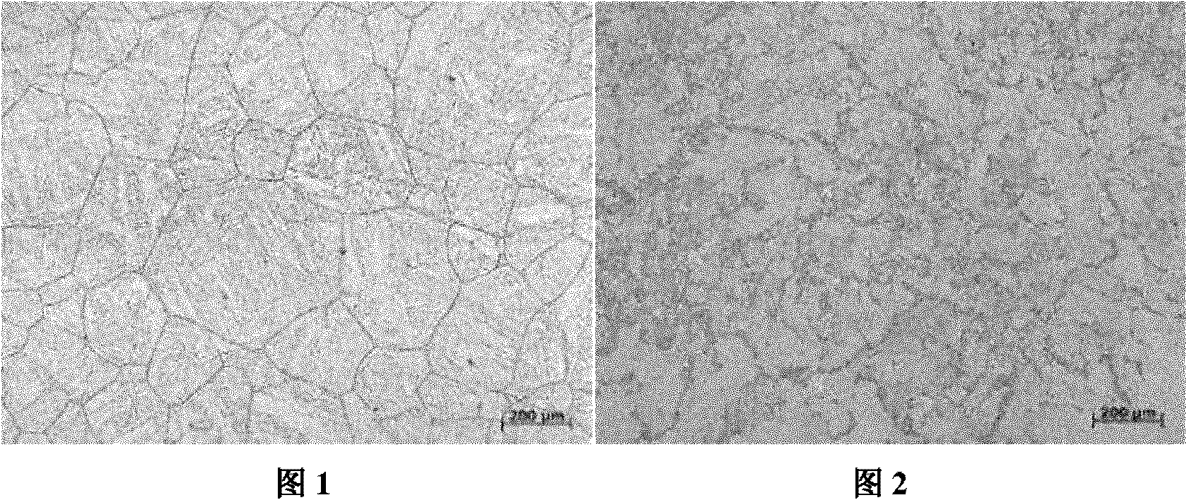 Method for refining grains of large medium high alloy steel forgings