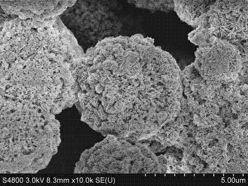 Method for preparing magnetic mesoporous apatite microsphere material by utilizing hydrothermal method