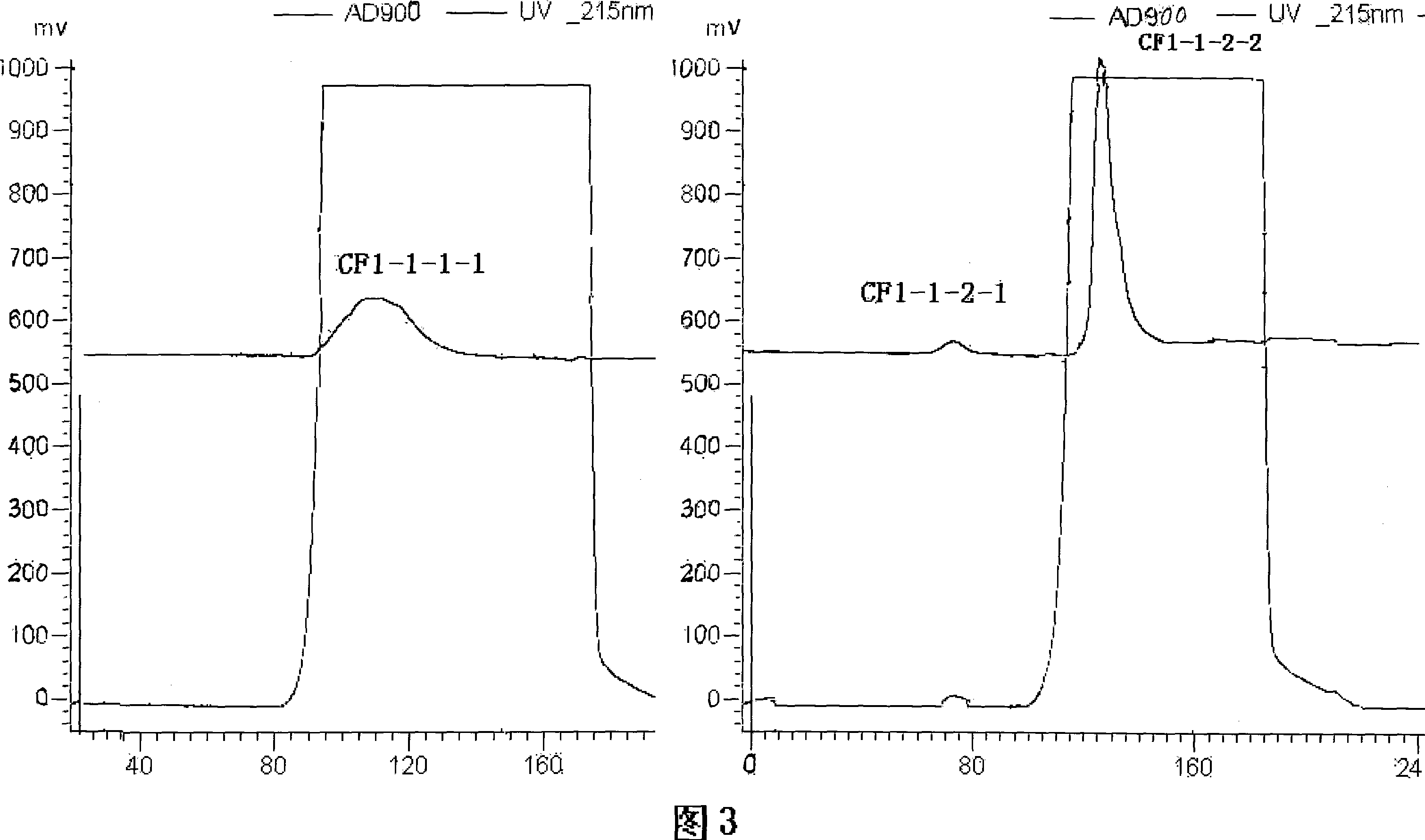 Rapid separation and purification method of cordyceps militaris fruit body water-soluble peptide polysaccharide