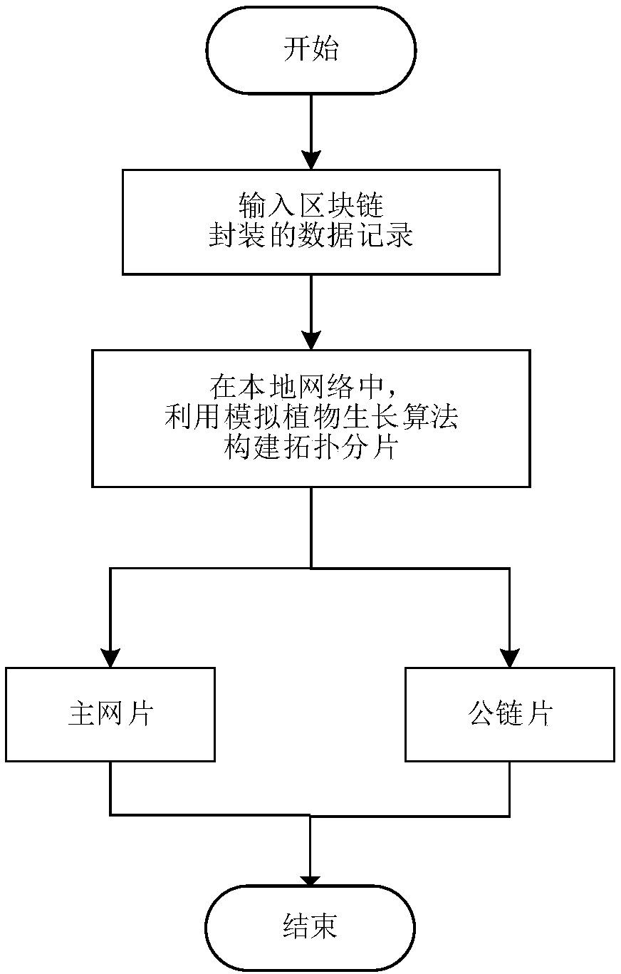 Block chain recording method based on hierarchical heterogeneous dynamic topology slicing