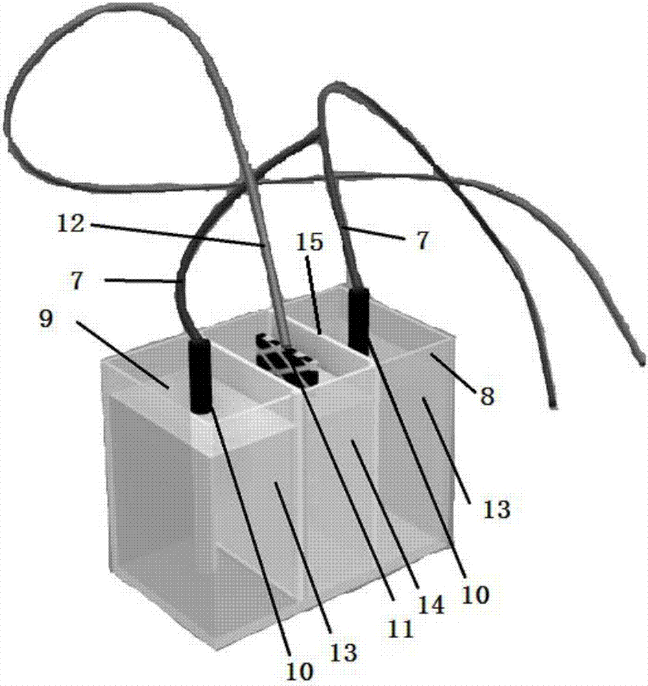 Method for preparing ferrate based on carbon sheet iron plating