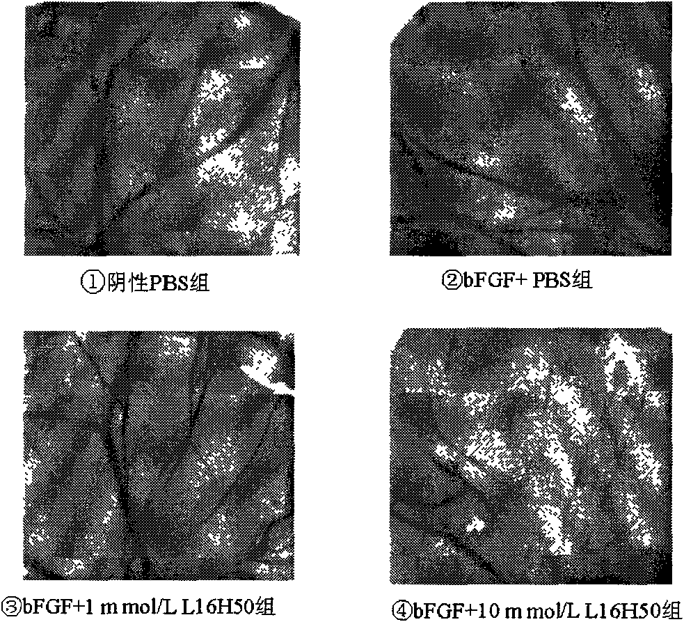 A class of novel spiroheterocyclic compounds and their use as therapeutic agents