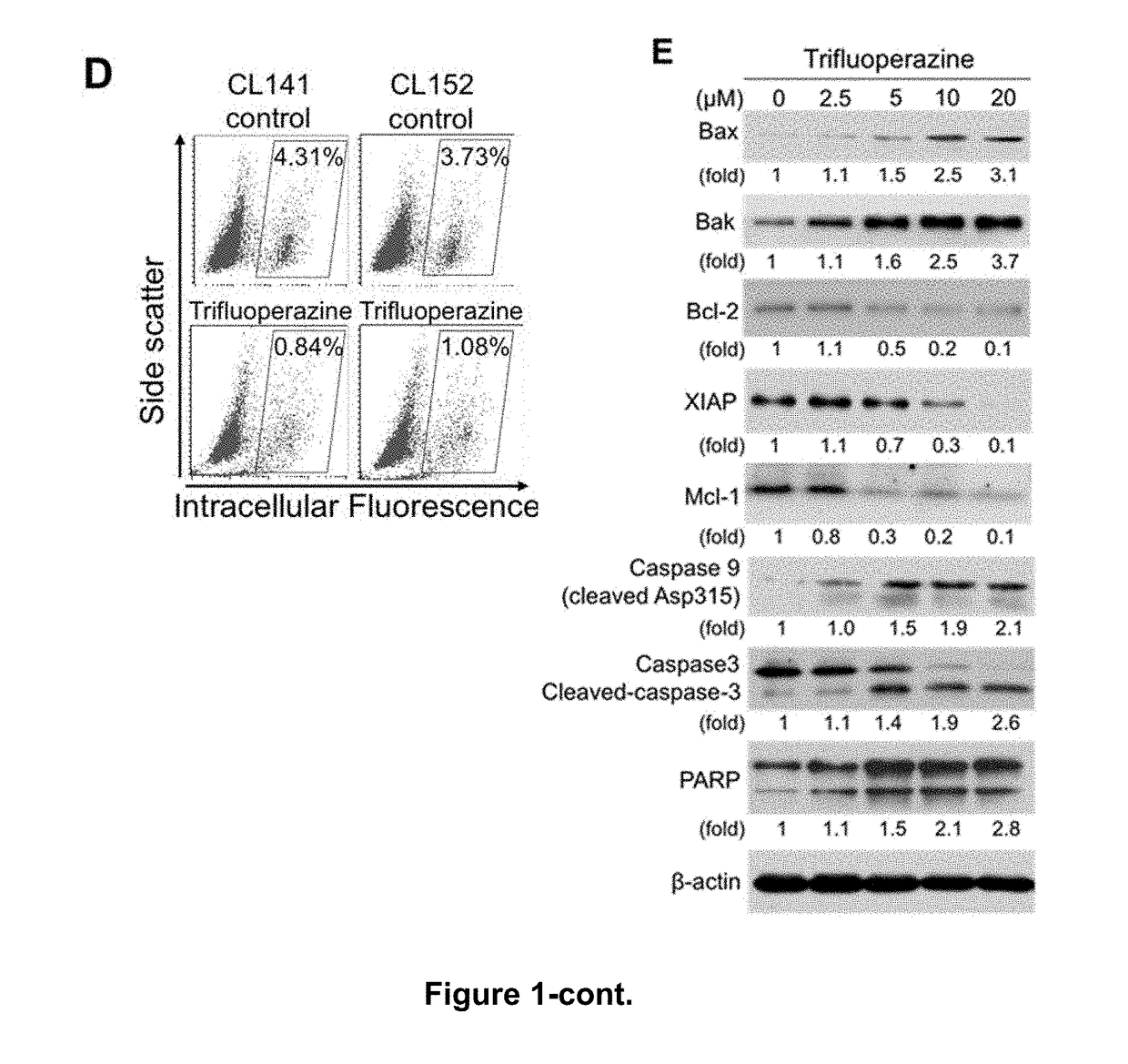 Pharmaceutical composition for treatment of cancer using phenothiazine