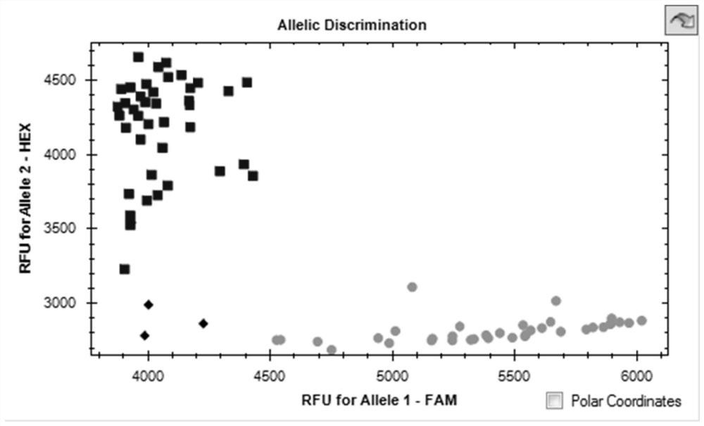 Molecular markers linked to qtl QTA-2B linked to tiller angle in wheat and its application