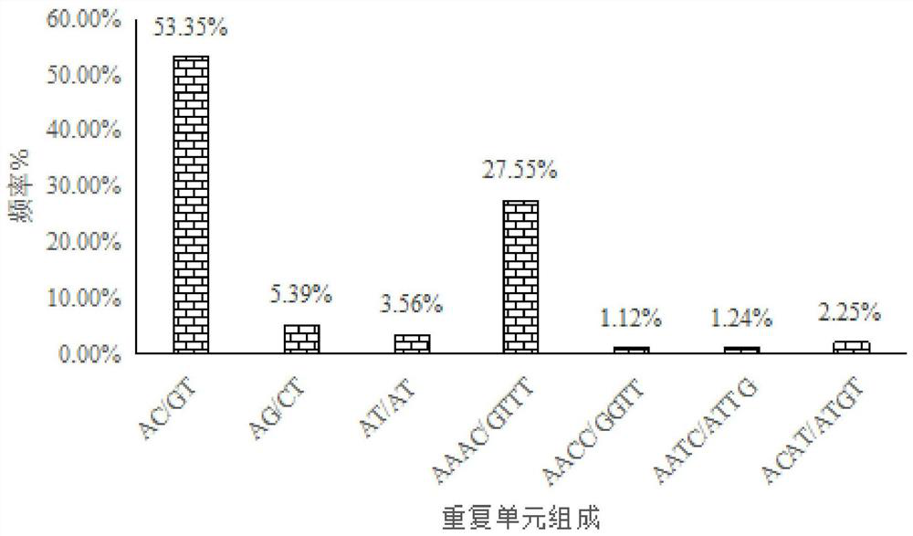 A kind of Chinese Limulus ssr primer set and application thereof