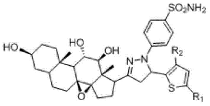 Pyrazoline sulfanilamide C21 steride saponin aglycone derivative containing thiophene skeleton, as well as preparation method and application of derivative