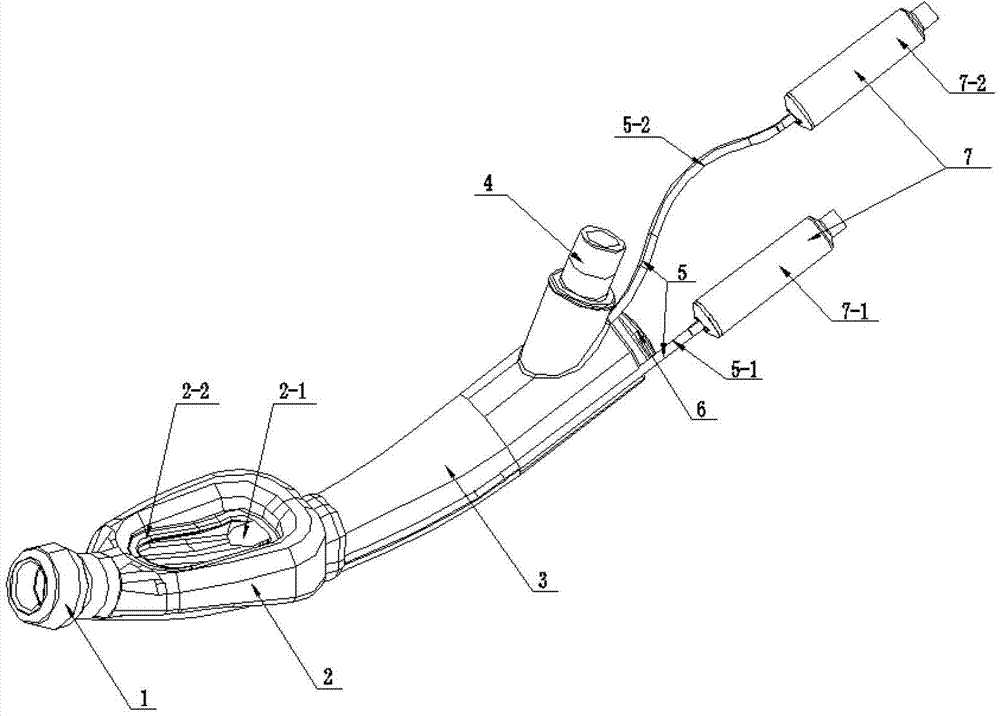 Double-balloon laryngeal mask airway for gastroenterological endoscope examination