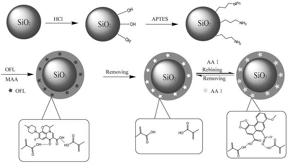 Method for enriching and detecting trace aristolochic acid A in traditional Chinese medicine bolus of gentian for purging liver-fire