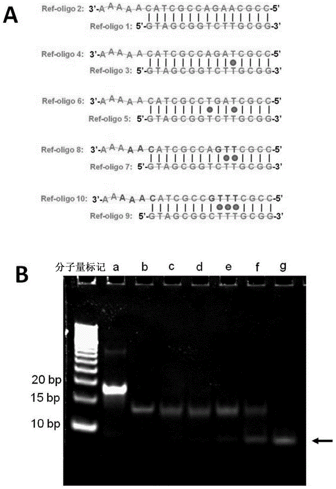 Method For Detecting Mercury Ions In Solution, And Kit