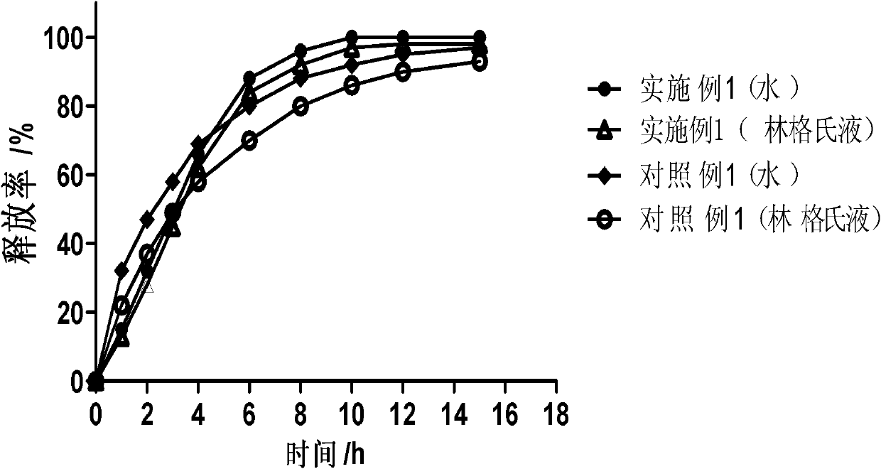 Drug carrier capable of realizing sustained release of drug