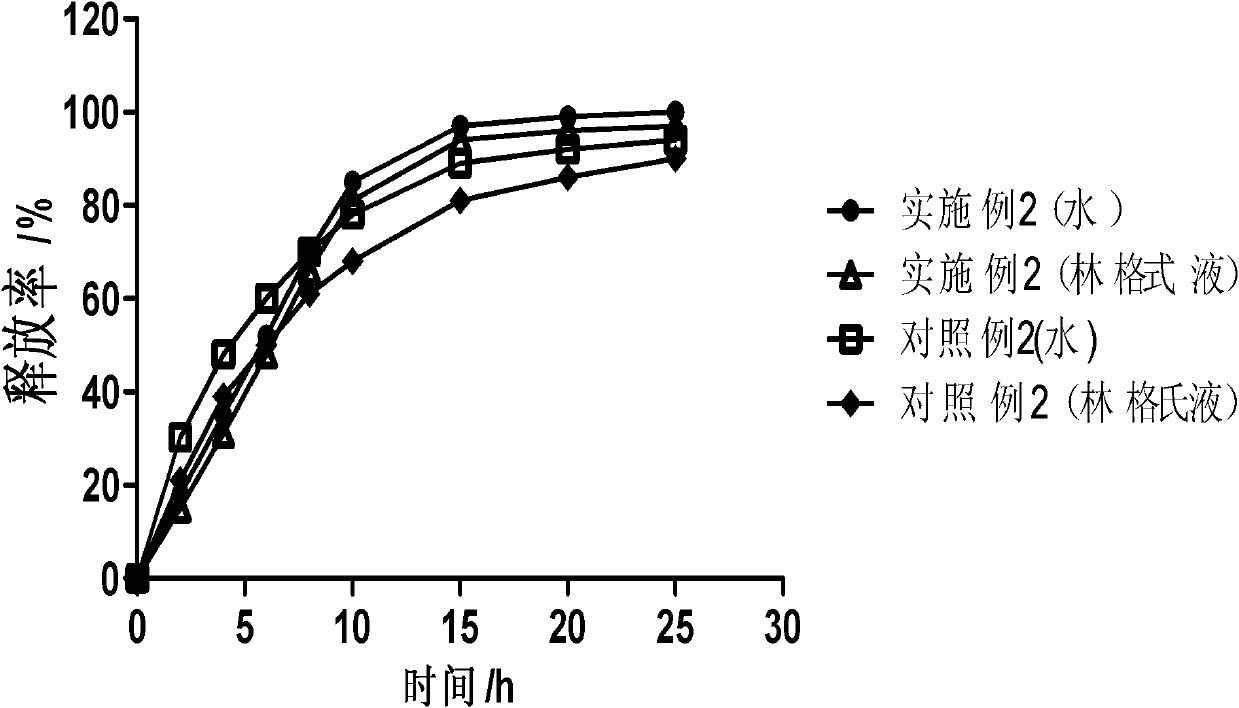 Drug carrier capable of realizing sustained release of drug