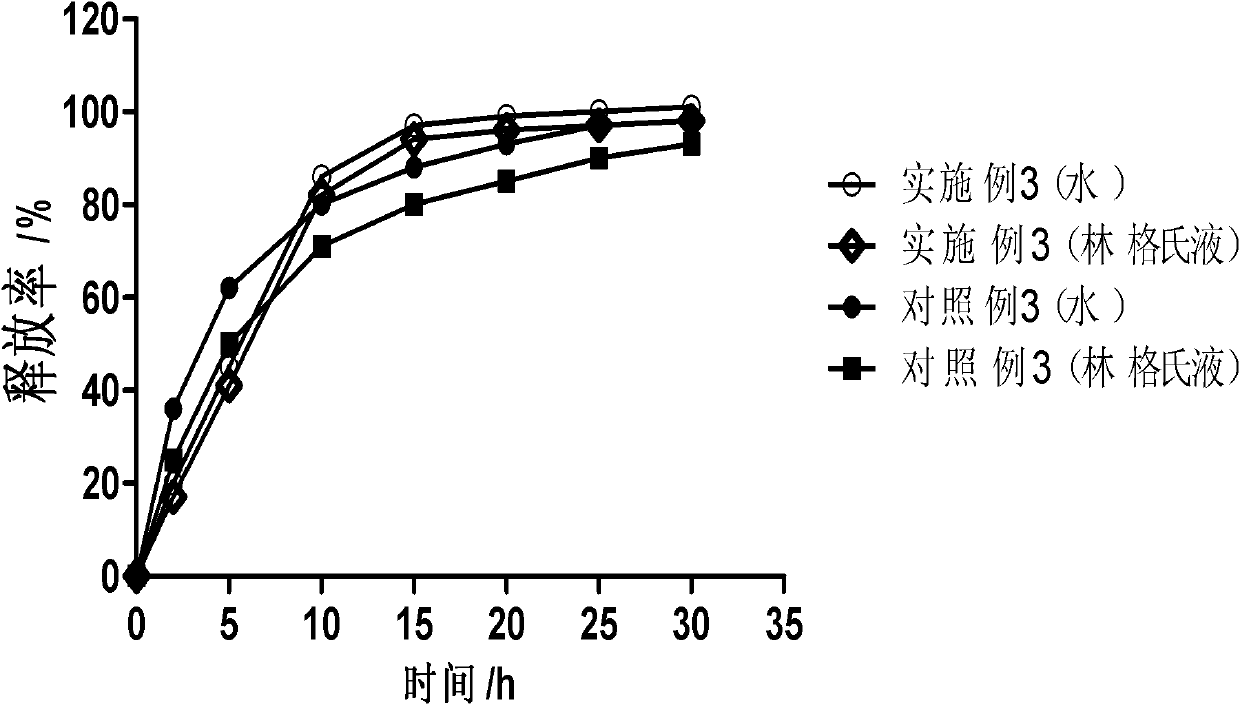 Drug carrier capable of realizing sustained release of drug