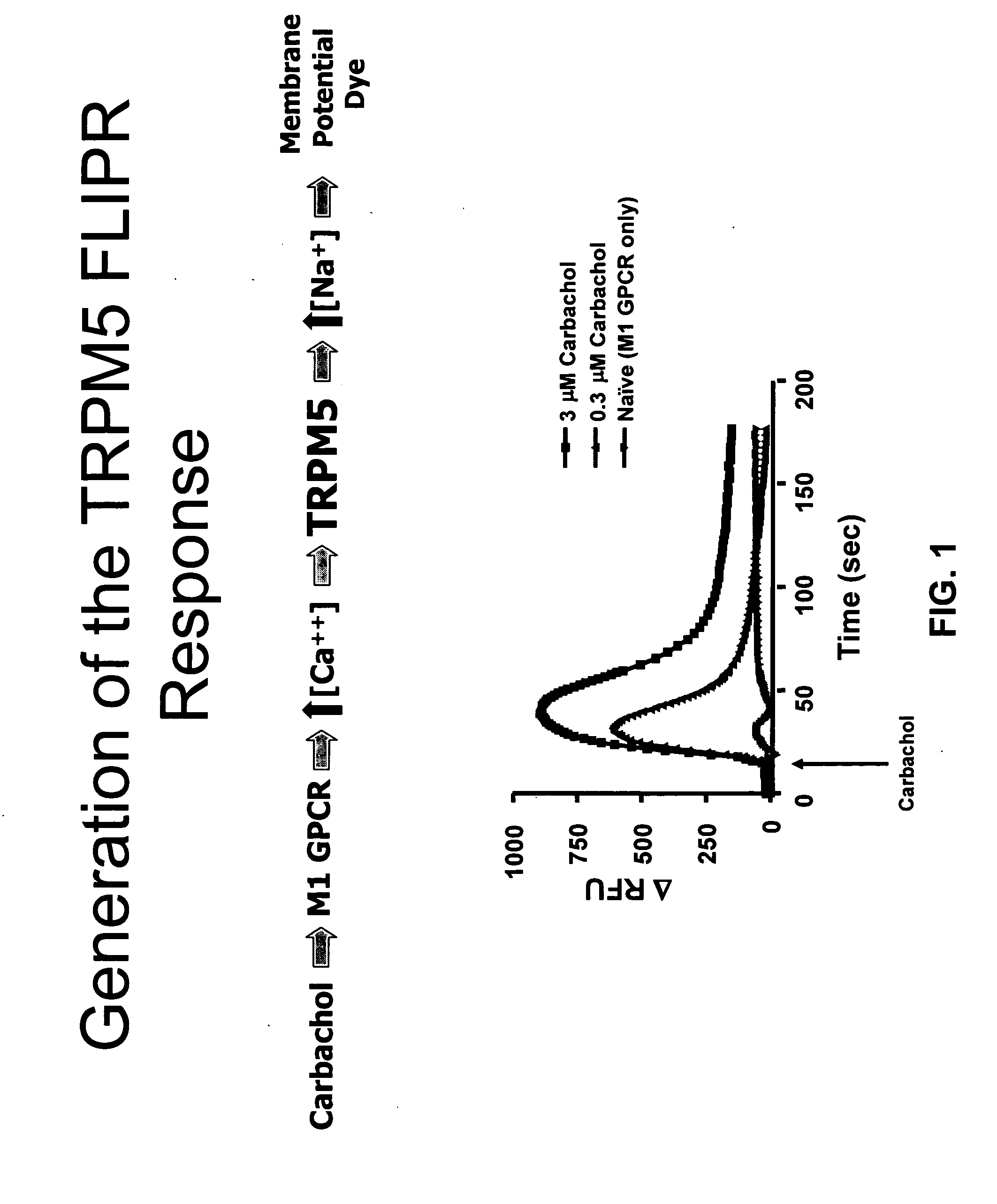 Hydrazone derivatives and uses thereof