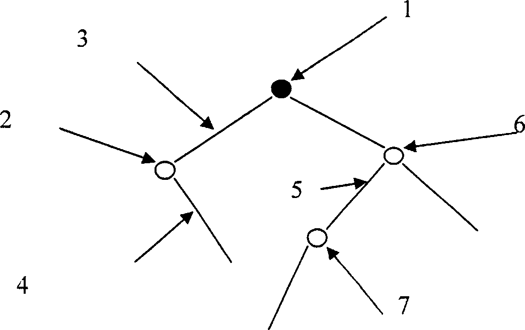 Randomly topologically structured virtual role driving method based on skeleton