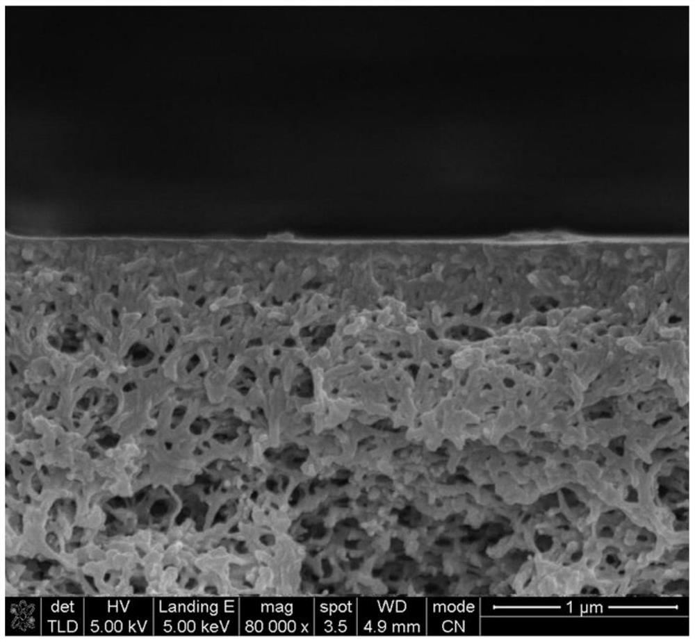 Method for preparing high-performance carbon dioxide separation composite membrane containing twisted structure through interfacial polymerization