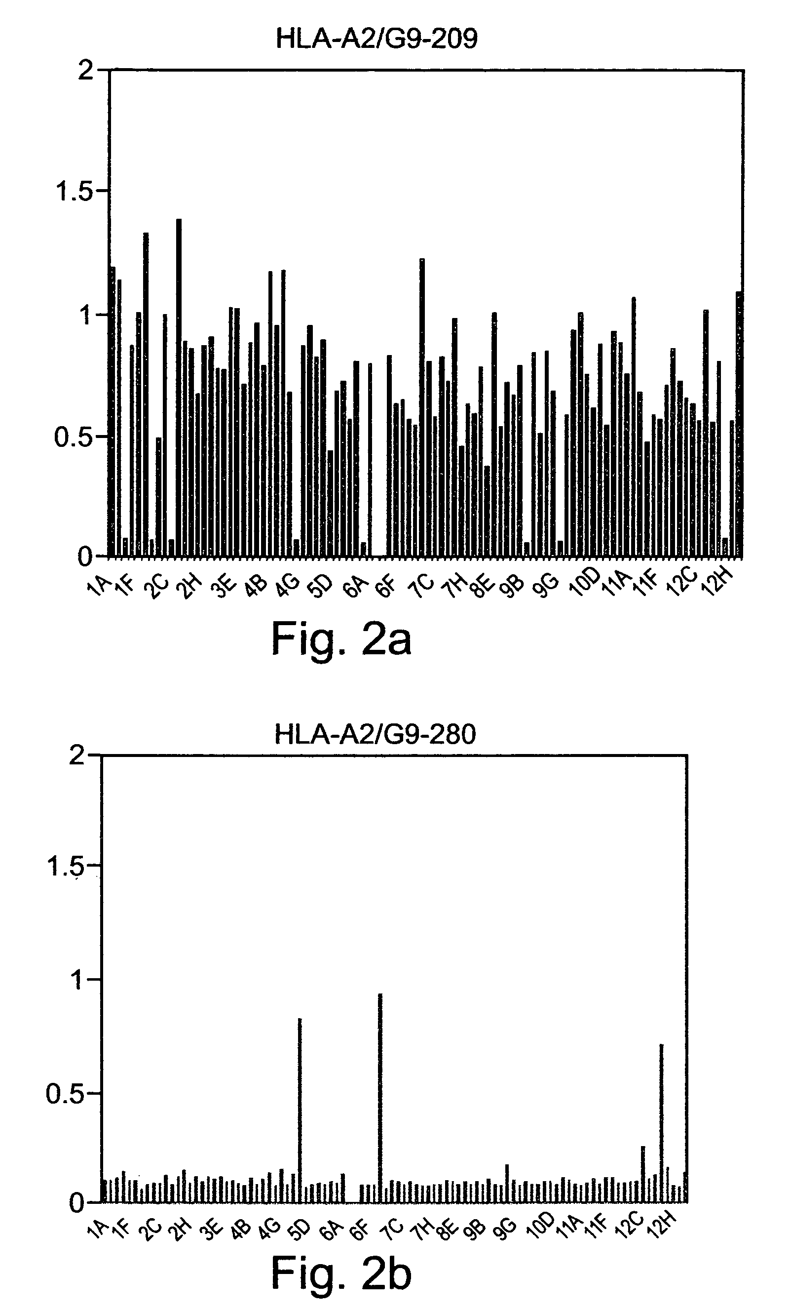 Antibody having a T-cell receptor-like specificity, yet higher affinity, and the use of same in the detection and treatment of cancer, viral infection and autoimmune disease